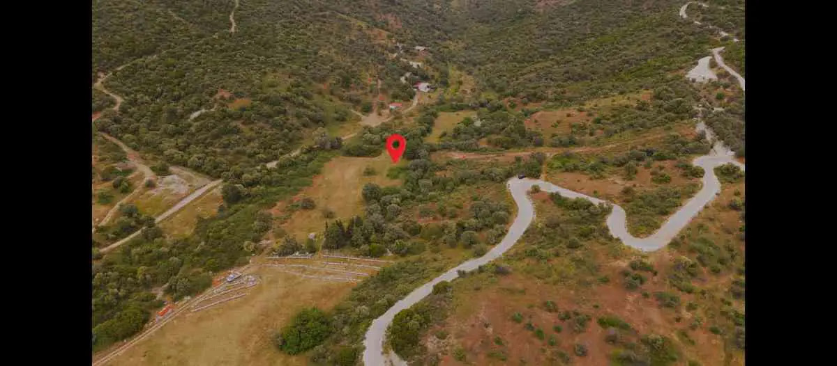 İZMIR GÜZELBAHÇE ÇAMLI'DA TEK TAPULU GENIŞ ZEYTINLIK