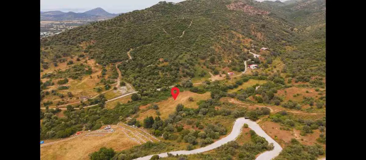 İZMIR GÜZELBAHÇE ÇAMLI'DA TEK TAPULU GENIŞ ZEYTINLIK